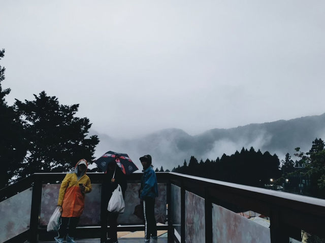 เดินเล่นในวันฝนตกที่อาลีซาน ไต้หวัน 🌧️☔️