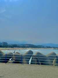 여름엔 시원하게 강원도 바다에서 힐링🌊🐳🐟