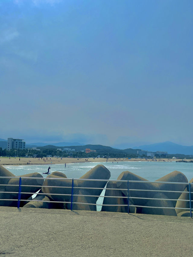 여름엔 시원하게 강원도 바다에서 힐링🌊🐳🐟