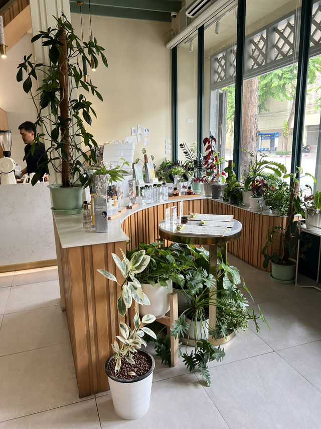 Schizzi Cafe คาเฟ่สไตล์อิตาเลียน