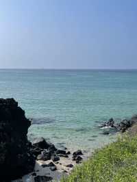 다채로운 매력의 바다, 여름엔 역시 제주! 🌊🏝️