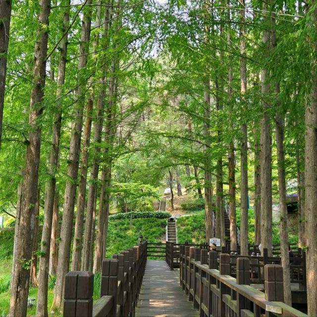 Cheongnamdae Was Kinda Fancy, Kinda Chill