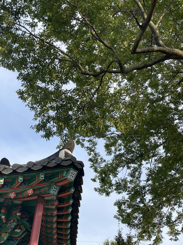 🌅 감성 한 스푼, 바다 두 스푼. 여수에서 보낸 따뜻한 하루