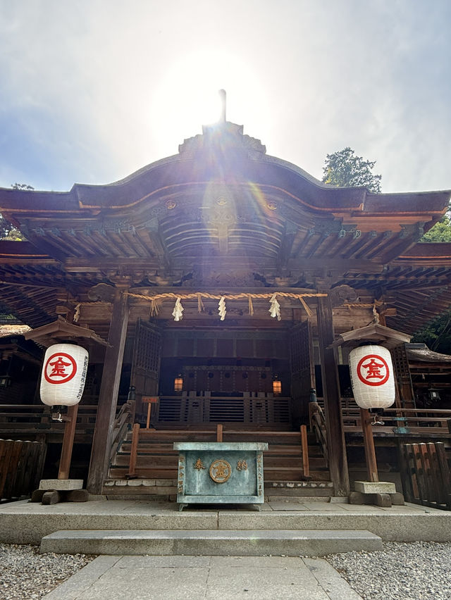 香川｜千階樓梯挑戰的金刀比羅宮 與金比羅犬有趣歷史