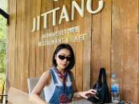 ร้านอาหาร “จิตตัง” เข้ามาแล้วรู้สึกสุขใจ