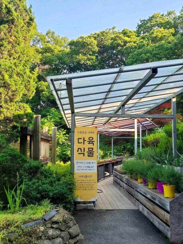 6월은 수국의 계절:) 서울 근교 수국 맛집은 요기