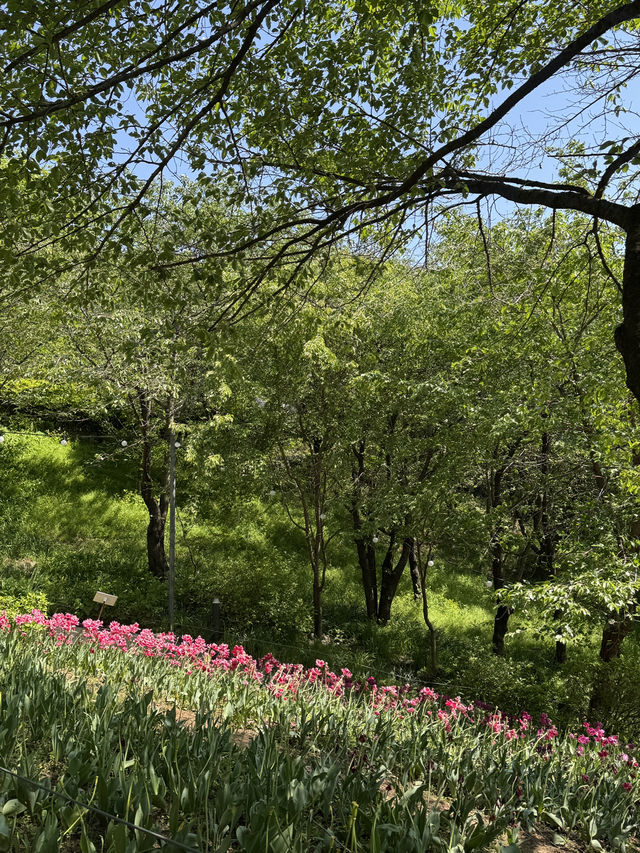 🌿 연희동 감성 산책 데이트, 조용한 하루를 걷다
