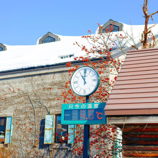 โอตารุ เมืองท่าสุดน่ารัก ที่ Hokkaido 