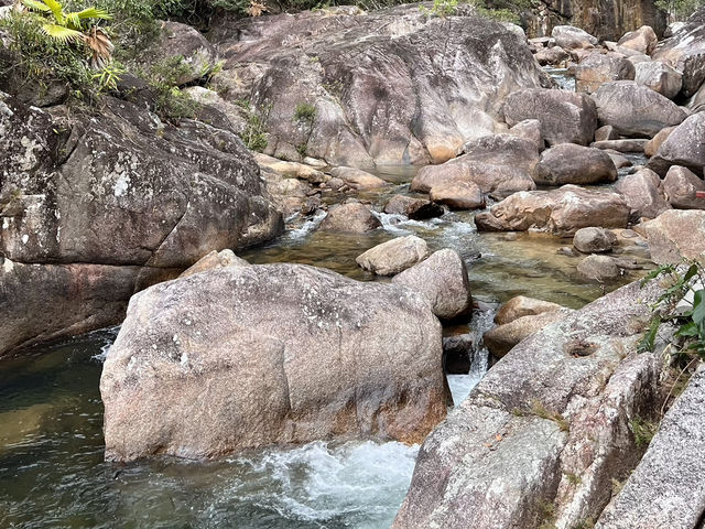 ☁️⛰️No Crowds, Just Clouds: A Quiet Getaway to Jianfengling