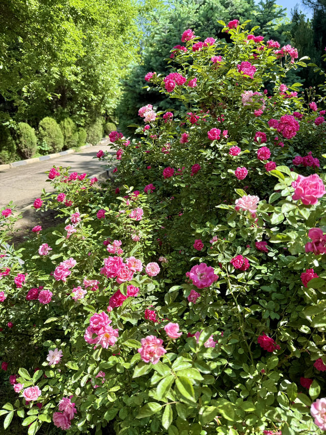 A Day in Dushanbe for Under $10 – Parks, Cafés & Local Vibes