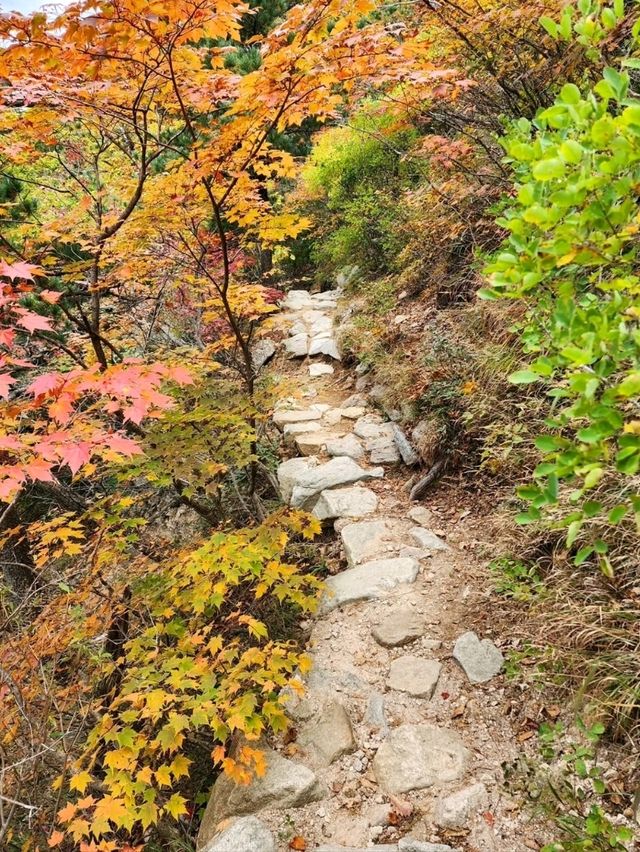Chill Adventures at Seoraksan National Park Nature Center (Inje-gun Edition!)