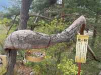 山梨・昇仙峡で龍脈パワーを体感