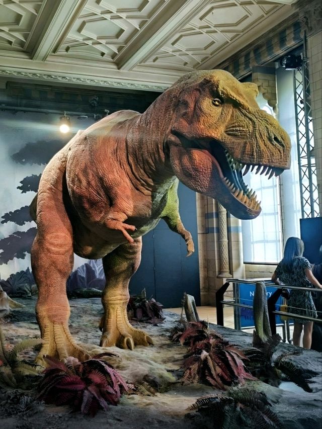 Discover Nature’s Wonders, Dinosaurs & more for Free! A Day at London’s Natural History Museum. 