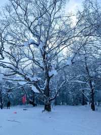 Not in Narnia world, but close enough - Wuchang, China! 