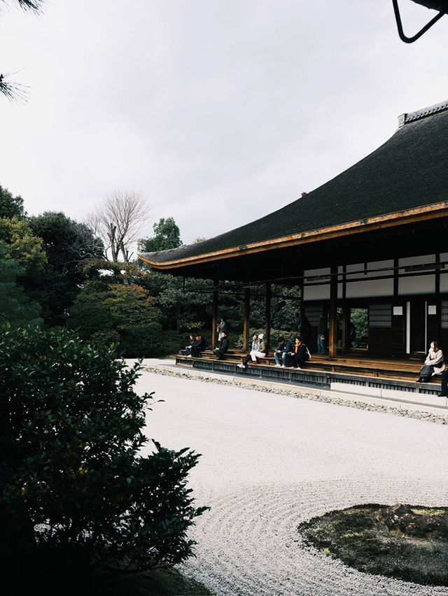 建仁寺的藝術與禪意，讓京都之旅更添靈性與文化深度！