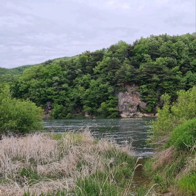 Chungju Forest & Hot Spring Feels