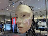 ตั๋วเครื่องไปโอซาก้า full service 8,025 บาท