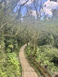週末去哪裡 ｜ 象山登高望遠野餐趣