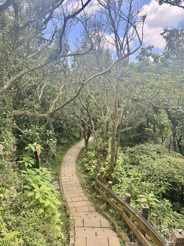 週末去哪裡 ｜ 象山登高望遠野餐趣