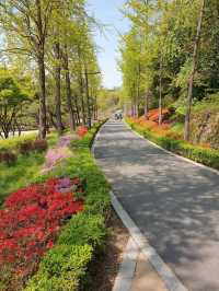 The Namsan Outdoor Botanical Garden