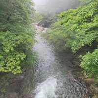 Nature & Vibes Near Sansuhwa Pension