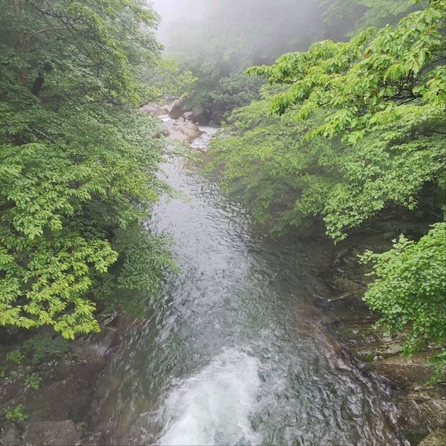Nature & Vibes Near Sansuhwa Pension