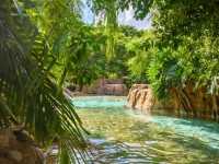 Discovery Cove is truly a hidden gem in the heart of Orlando