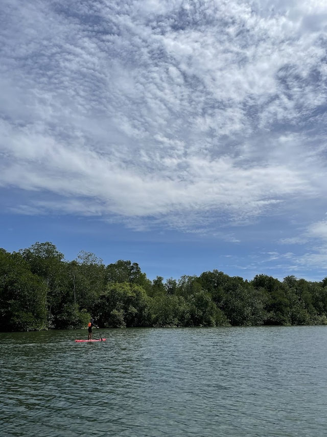 Outdoorgate Sepang Mangrove River Kayaking, A Thrilling Eco Adventure