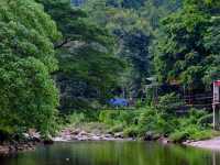 🍃 คีรีวง หมู่บ้านที่อากาศดีที่สุดในประเทศไทย 🌿