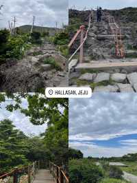 不自駕的濟州島獨旅去哪玩