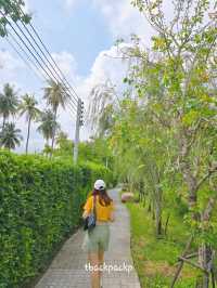 Cafe ที่บางแสน ฟีลเขาใหญ่ Serene House Cafe 🏡