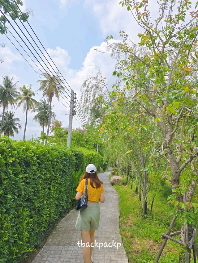 Cafe ที่บางแสน ฟีลเขาใหญ่ Serene House Cafe 🏡