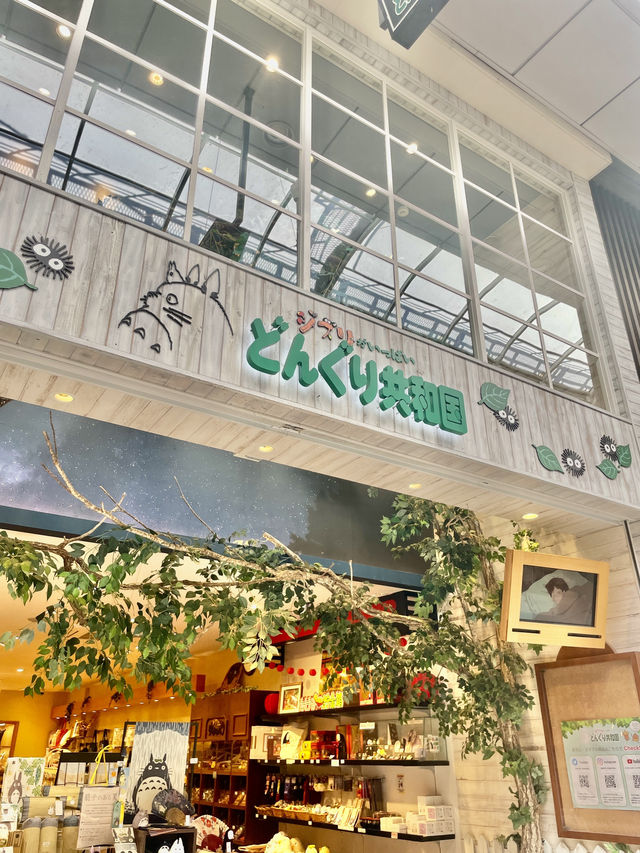 도고 온천에서 지브리 🌿 진짜 토토로와 만나는 순간