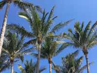 Laid Back Day At Crandon Park