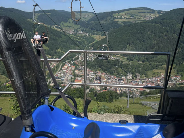 Black Forest Adventure: A Day Trip from Freiburg 🎢🌉🏞️