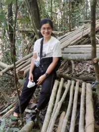 อุทยานแห่งชาติคลองพนม จ. สุราษฎร์ธานี 