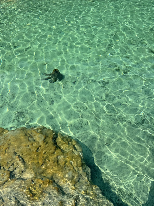 Emerald Pool, Krabi