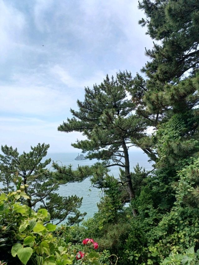 절벽과 바다가 만나는 태종대