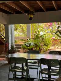 Tropical Café Vibes in Langkawi — Smiling Buffalo Review 🇲🇾☕