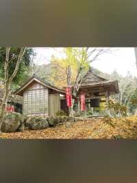 【紅葉と祈りの絶景🍂天開山泰運寺で心を整える旅】