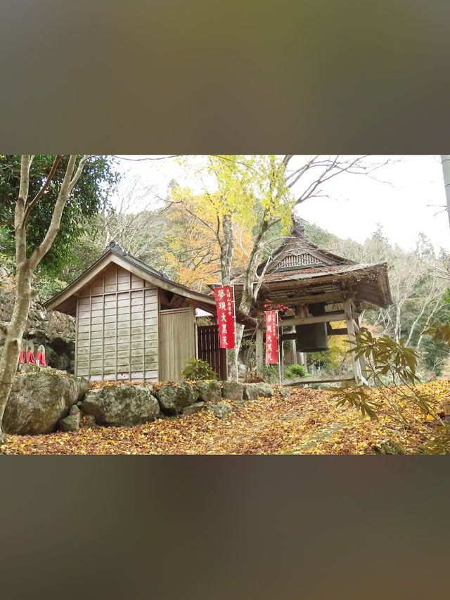 【紅葉と祈りの絶景🍂天開山泰運寺で心を整える旅】