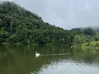 พายเรือไม้ไผ่ ชมหงส์ท่ามกลางสายหมอก ณ ปางอุ๋ง