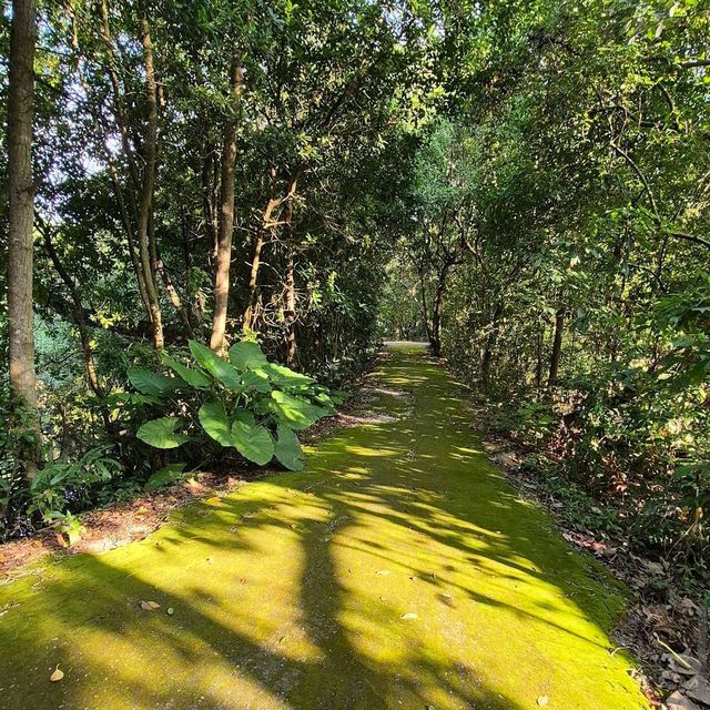 Sungei Buloh Wetland Reserve