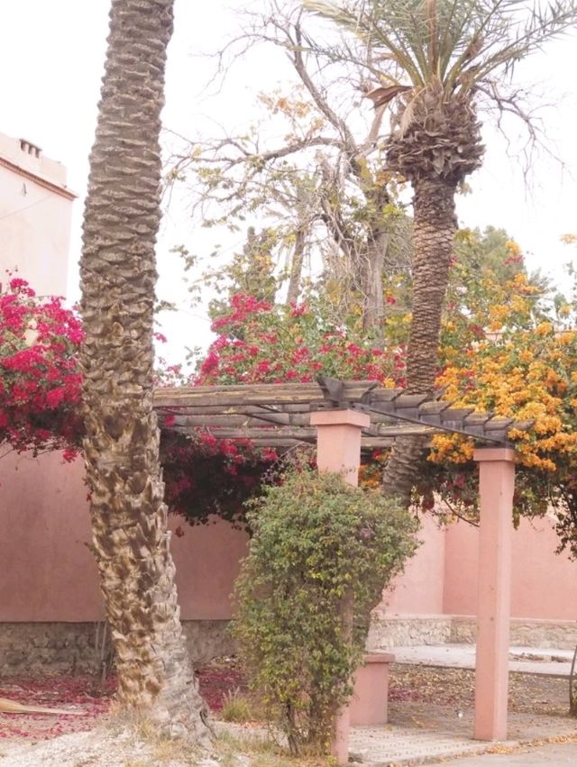 【女子旅のすすめ🎀】アフリカ大陸モロッコへ🇲🇦