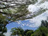 miri city hall park 