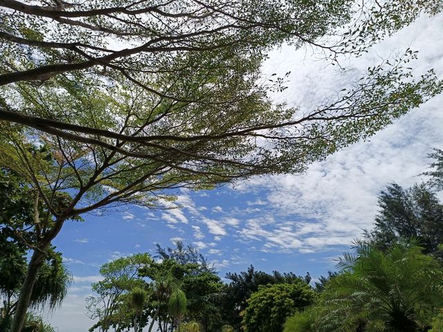 miri city hall park 