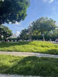 台中市民廣場：城市中心的綠意仙境