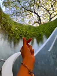 Discovering the Dragon Hole at Fort Canning Park🐉