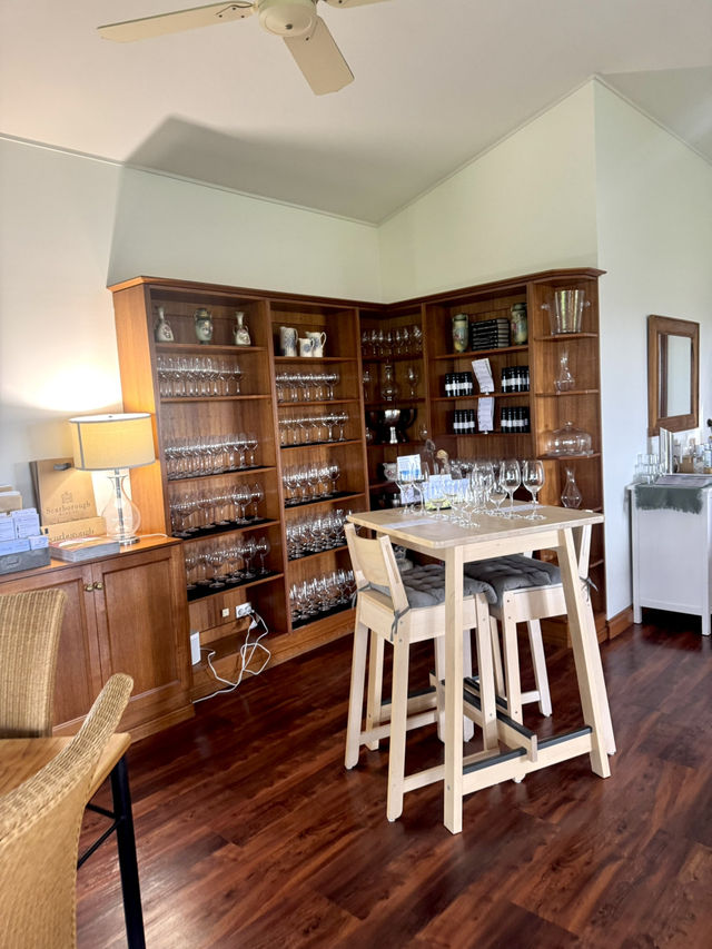 🍇🦘 2D1N Weekend Trip to Hunter Valley – Wine, Views & Balloon Dreams 🎈🍫
