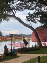 The Sky River Club บีชบาร์สีชมพูสุดคิวท์ริมน้ำกาญ